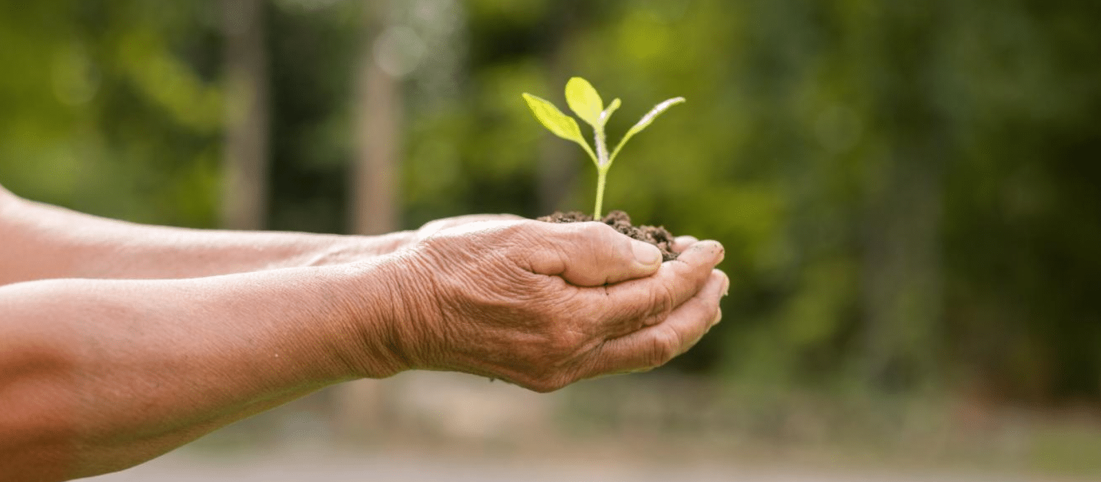 Sustentabilidade, mudanças climáticas e o mundo corporativo